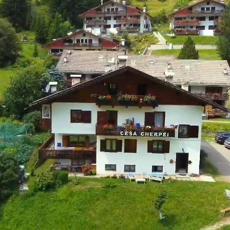 Cesa Cherpei - Dog Friendly Campitello di Fassa Luaran gambar