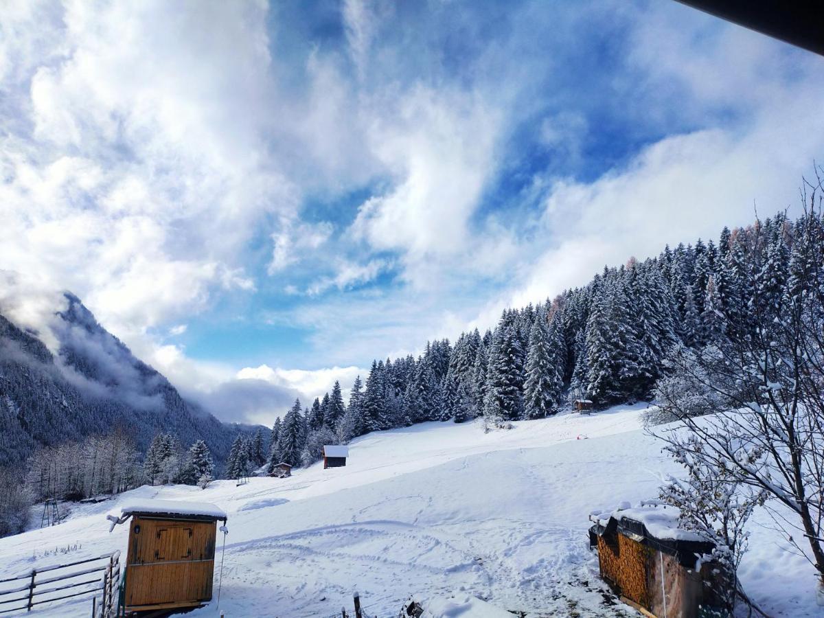 Cesa Cherpei - Dog Friendly Campitello di Fassa Luaran gambar
