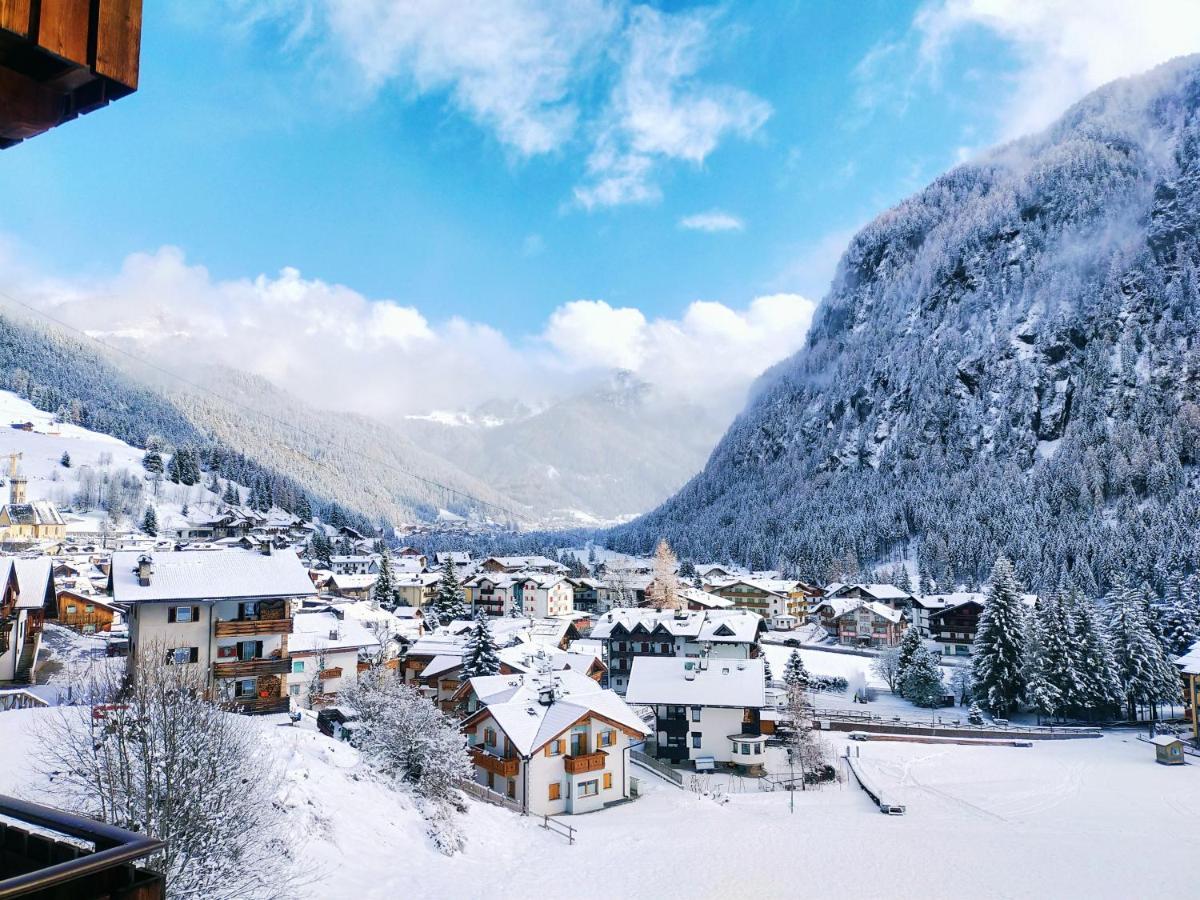 Cesa Cherpei - Dog Friendly Campitello di Fassa Luaran gambar