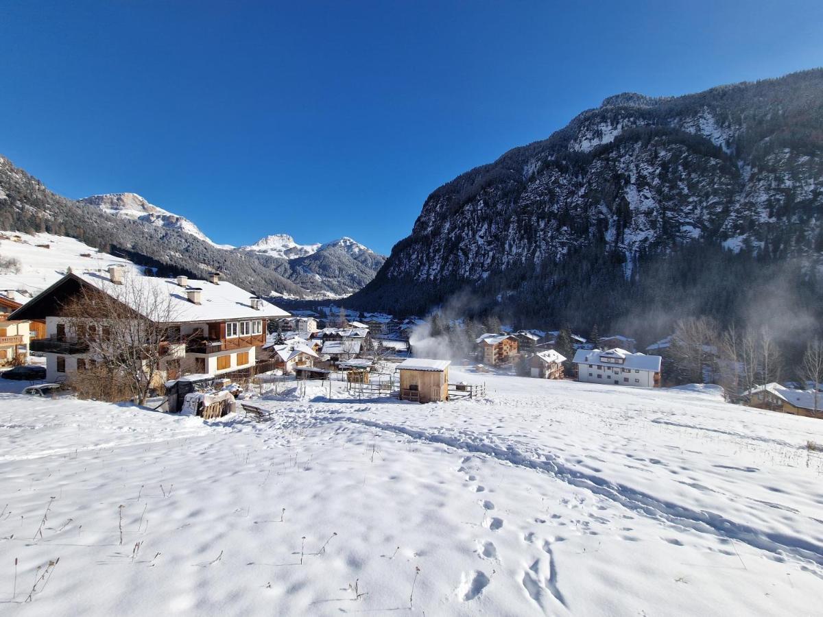 Cesa Cherpei - Dog Friendly Campitello di Fassa Luaran gambar