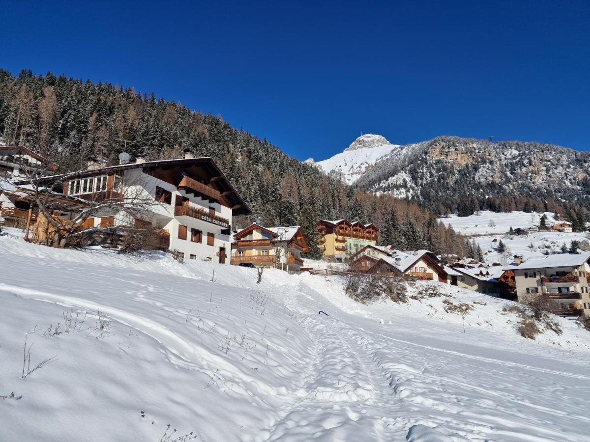Cesa Cherpei - Dog Friendly Campitello di Fassa Luaran gambar