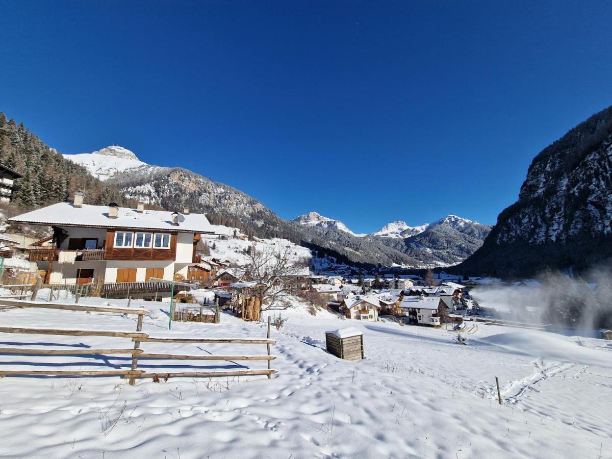 Cesa Cherpei - Dog Friendly Campitello di Fassa Luaran gambar