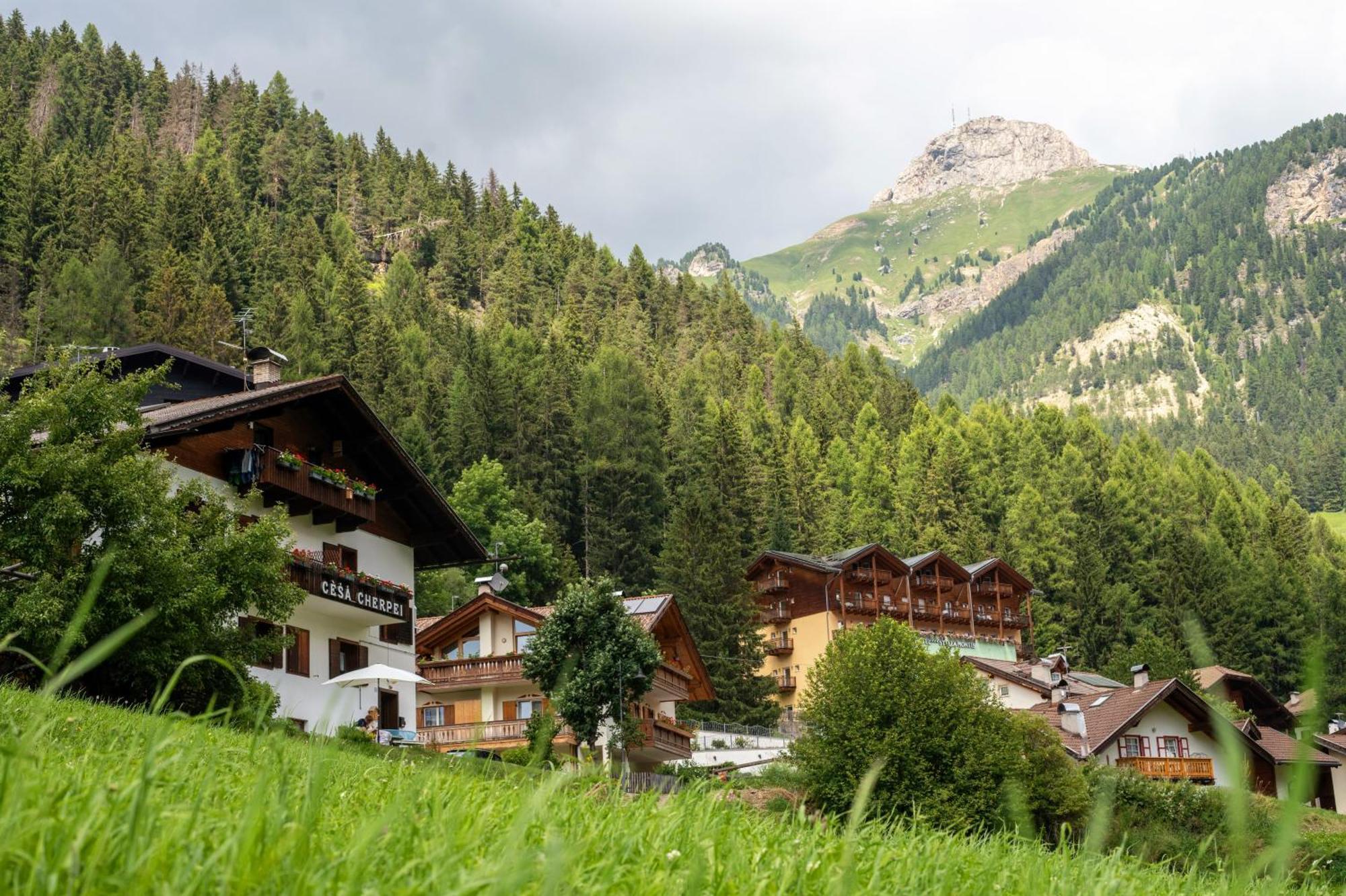 Cesa Cherpei - Dog Friendly Campitello di Fassa Luaran gambar